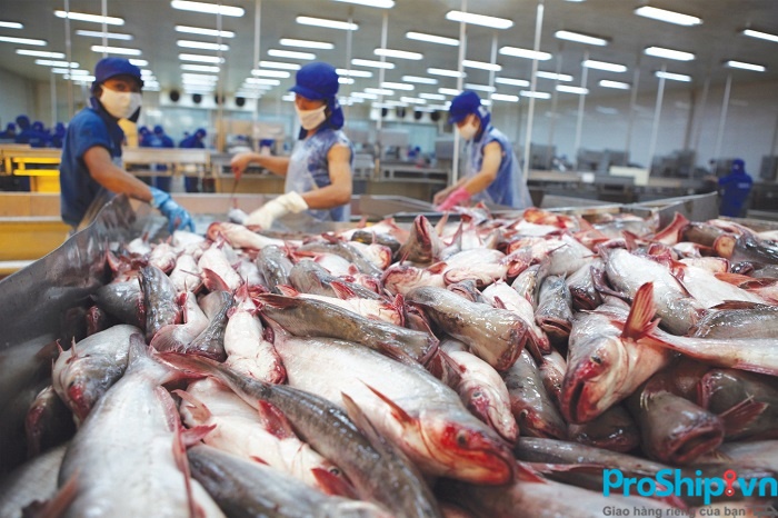 Cá tra xuất khẩu sang Trung Quốc phải đáp ứng tiêu chuẩn gì?