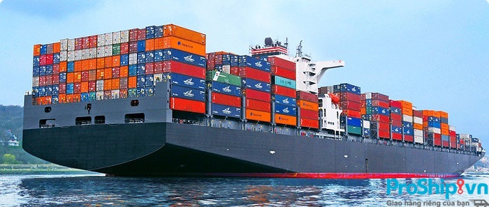 Những quy định, tiêu chuẩn xuất khẩu tôm sang Trung Quốc hiện nay