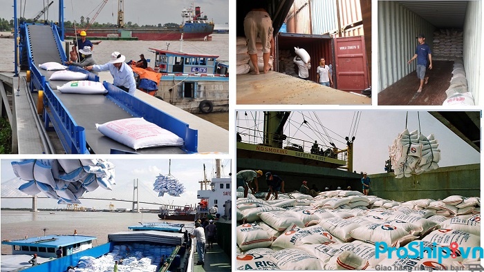 Những quy định, tiêu chuẩn xuất khẩu gạo sang Trung Quốc hiện nay