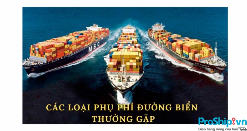 Bảng chi phí và phụ phí trong vận chuyển hàng hóa đường biển nội địa
