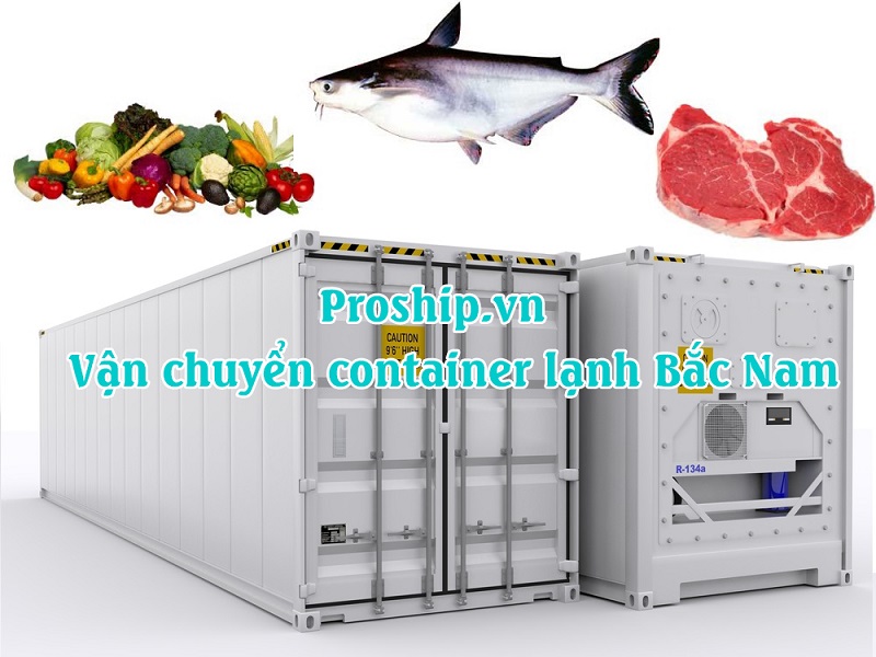 Dịch vụ vận tải, vận chuyển container lạnh Bắc Nam uy tín