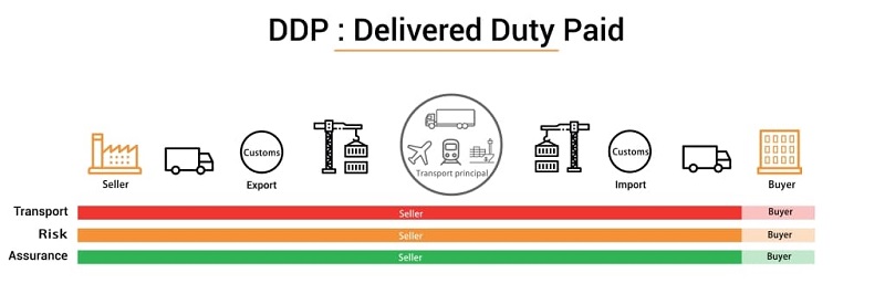 Điều kiện DDP là gì? Tìm hiểu thông tin chi tiết về điều kiện DDP