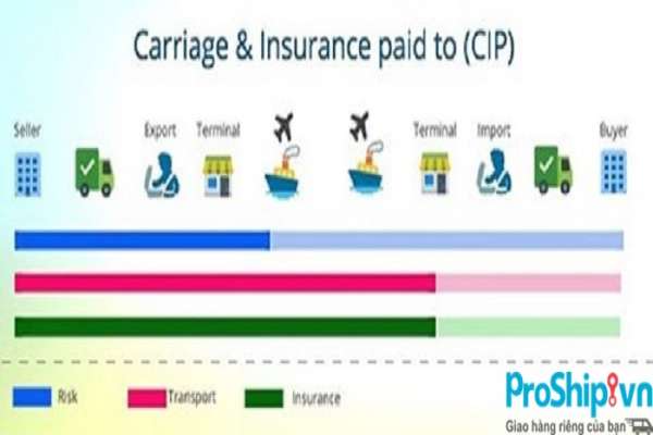 Điều kiện CIP là gì? Điều kiện về cước phí và bảo hiểm trả tới CIP