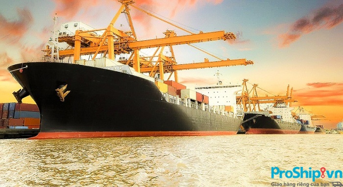 Những thuật ngữ thông dụng trong vận chuyển hàng hóa bằng đường biển