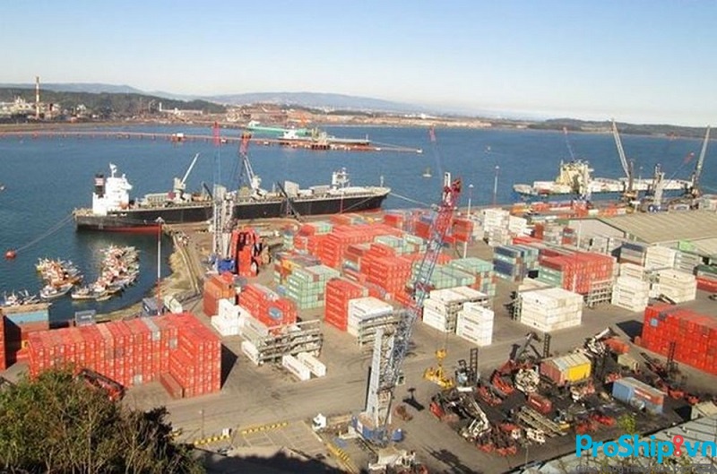 Những cảng biển có quy mô lớn nhất nước ta hiện nay