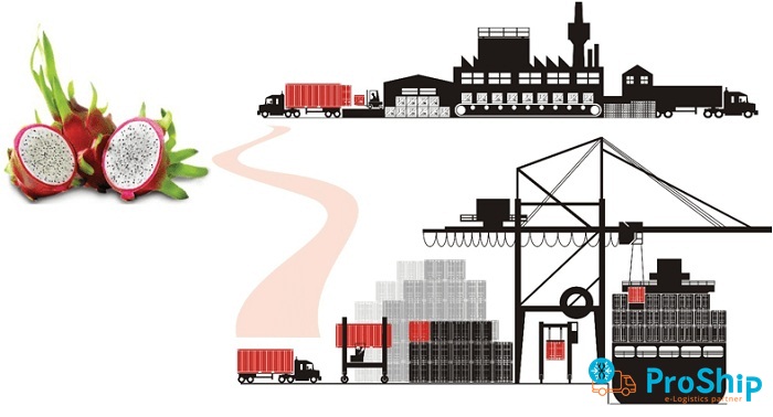 Dịch vụ vận chuyển Thanh Long bằng Container Lạnh giá rẻ