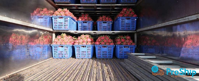 Dịch vụ vận chuyển Thanh Long bằng Container Lạnh giá rẻ