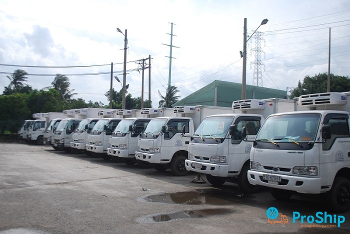 Dịch vụ vận chuyển hoa tươi bằng xe lạnh trên toàn quốc