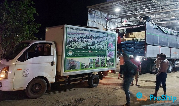 Dịch vụ vận chuyển hoa tươi bằng xe lạnh trên toàn quốc